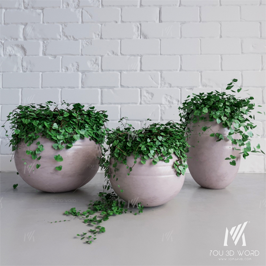 Ivy_Pots